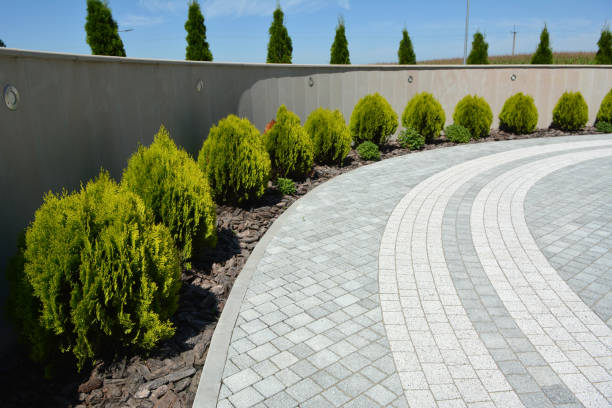 Best Interlocking Driveway Pavers  in Seminole, TX